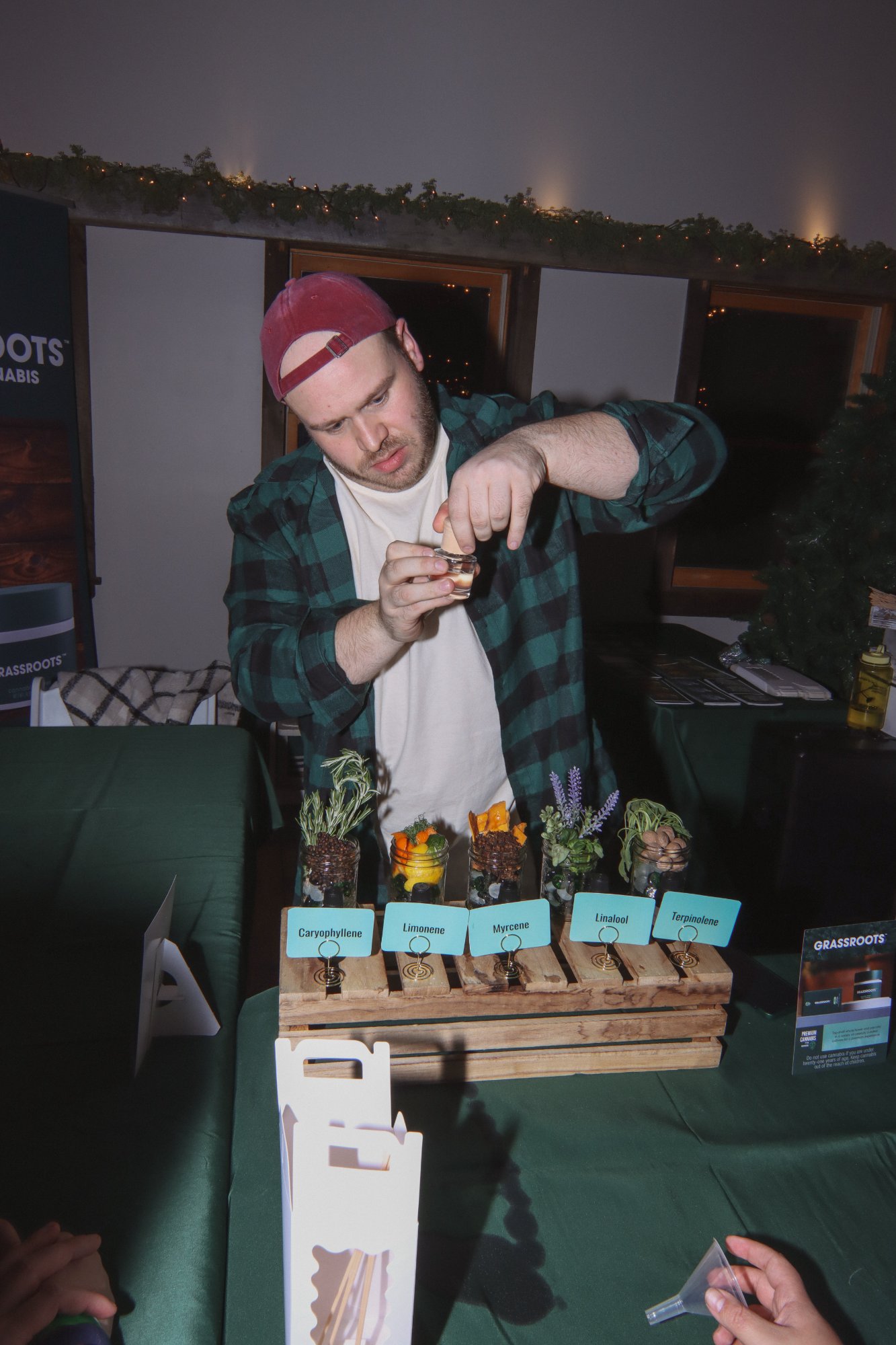 Curaleaf x Dark Heart Connecticut — photo 6
